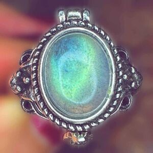 Silver Poison Ring with Iridescent Labradorite